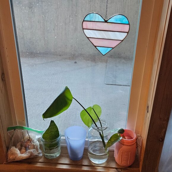 Trans and Nonbinary 💜 - Picture 1 of 1